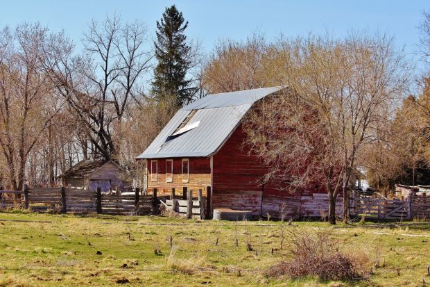 Barn